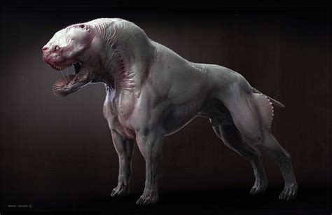 HOUND CREATURE