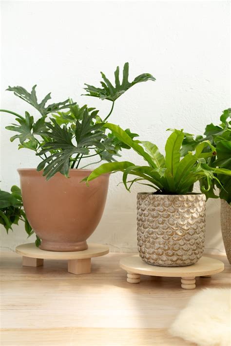 Houseplants Are Happier On This DIY Riser - Hunker - balustradellc