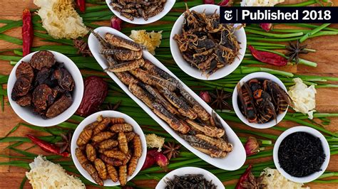 How (and Why) to Cook With Bugs, According to Three … - balustradellc