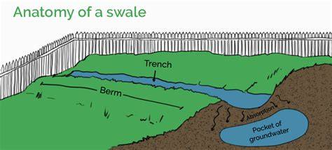 How a Swale Drain Can Be a Perfect Fit for … - raincitystudios.com