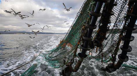 How AI Can Help Save Our Oceans - TIME - raincitystudios.com
