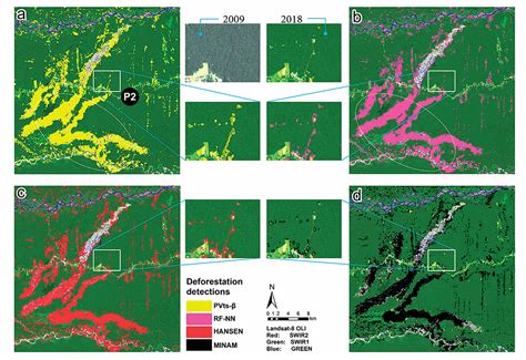How AI monitors illegal deforestation across continents - coolestguyplanet.net