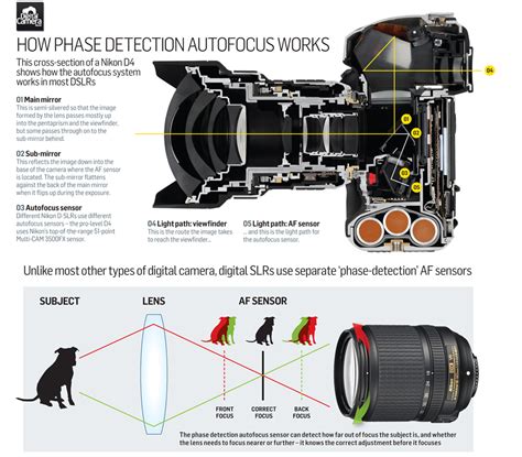 How Autofocus Works in Photography - PetaPixel - balustradellc