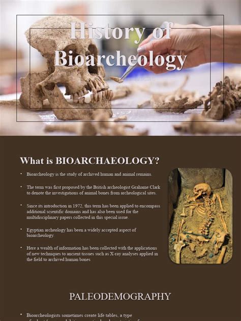 How Bioarchaeology Works - HowStuffWorks - wintechmobiles.com