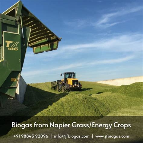 How Biofics Engineers Napier Grass Feedstock for Maximum Biogas ... - balustradellc