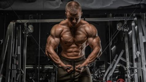 How Bodybuilders Cut Weight While Still Holding Onto Muscle - balustradellc