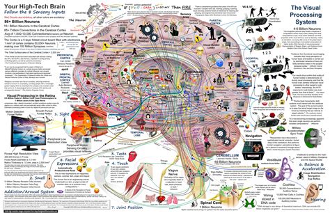 How Brain Mapping Works - HowStuffWorks - muktibox.com
