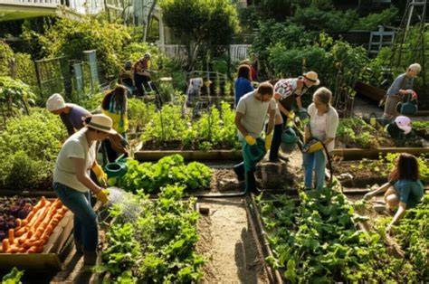 How Can Community Gardens Help With Food … - raincitystudios.com