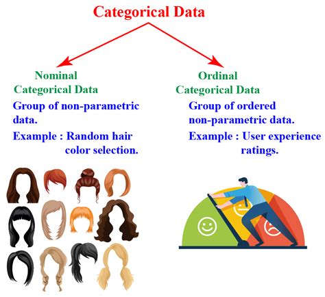 How can I dynamically distinguish between categorical data and ... - wintechmobiles.com