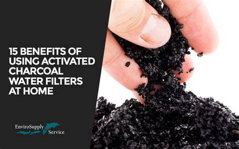 How Charcoal Filters Purify Water - Isopure Water - raincitystudios.com
