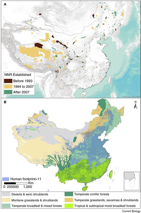 How China expanded its protected areas to conserve biodiversity - wintechmobiles.com