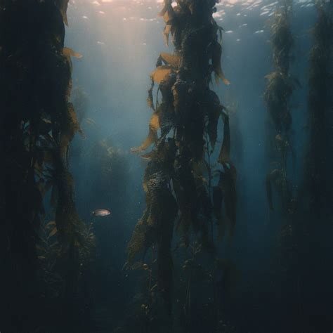 How Clean Tech is Transforming Marine Conservation: Innovations ... - raincitystudios.com