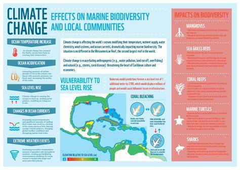 How Climate Change Affects the Biodiversity of Marine … - raincitystudios.com
