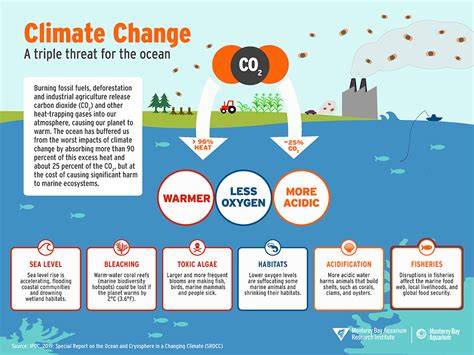 How climate change impacts the ocean - IFAW - raincitystudios.com
