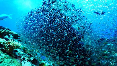 How deep-sea technology could transform life above water - raincitystudios.com