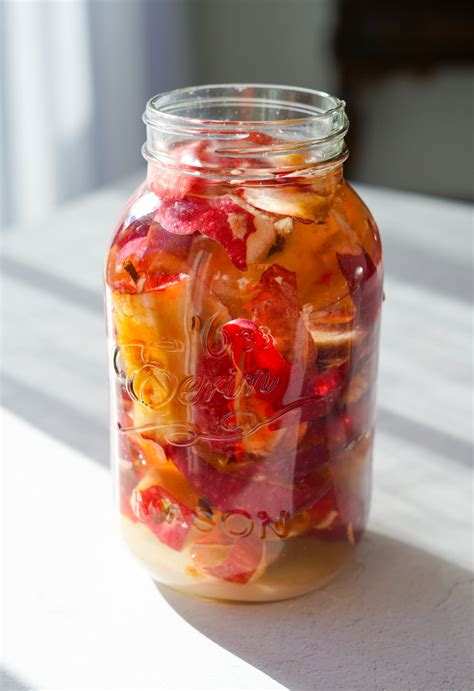 How Do I Make Homemade Apple Cider Vinegar - balustradellc