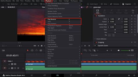 How do you change playback speed while editing in DaVinci - balustradellc