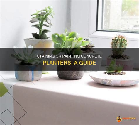 How Do You Paint Concrete Planters - muktibox.com