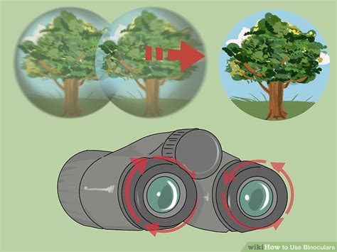How Do You Use Binoculars - balustradellc