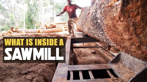 HOW DOES A SAWMILL WORK? Working of sawmills explained....