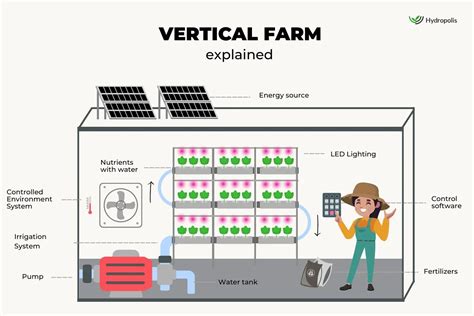 How Does a Vertical Farm Work: Step by Step Guide - balustradellc