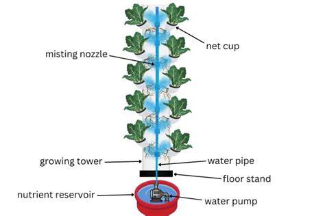 How Does an Aeroponic Tower Work | Tower Garden - raincitystudios.com