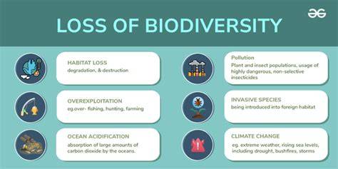 How does Biodiversity loss affect me and everyone … - raincitystudios.com