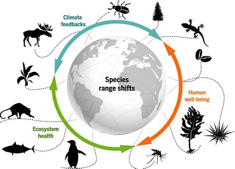 How does climate change affect the biodiversity of … - raincitystudios.com