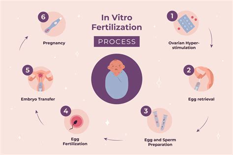 HOW DOES IN-VITRO FERTILIZATION OCCUR - Brainly