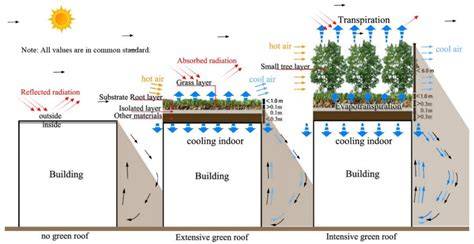 How Green Roofs Contribute to Urban Cooling and … - raincitystudios.com