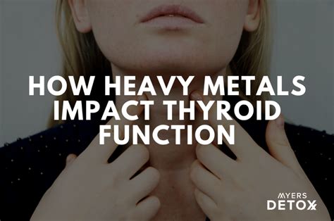 How Heavy Metals Affect Thyroid Function - Detox Metals - wintechmobiles.com