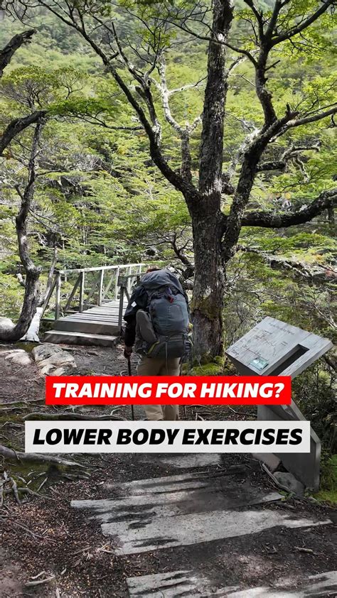 How Hiking And Trekking Improves Cardiovascular Strength - balustradellc