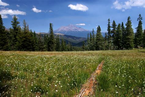 How Hiking Long Trails Changed My Relationship with … - balustradellc