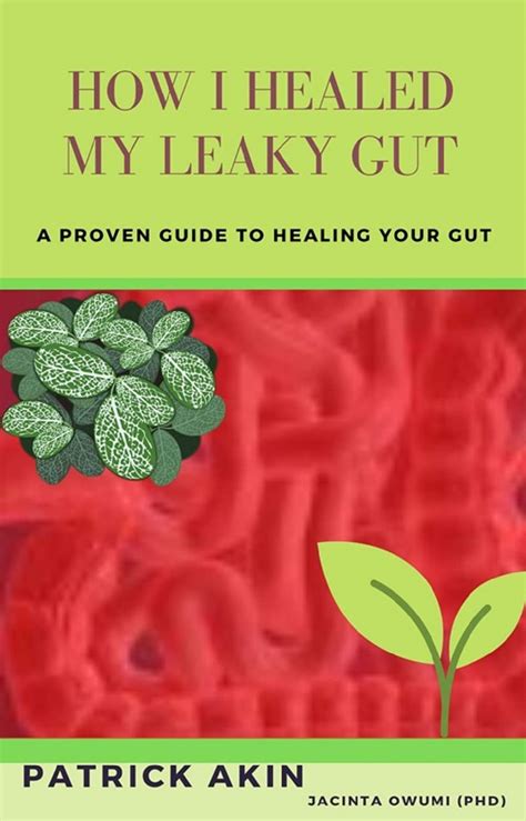 How I Healed My Leaky Gut: A Science-Backed Approach - balustradellc