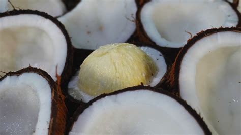 How I Made Coconut Oil at Home With Just 2 Methods! - balustradellc