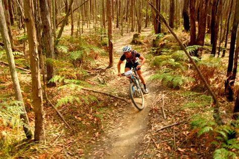How Is Aerobic Endurance Used in Mountain Biking - balustradellc