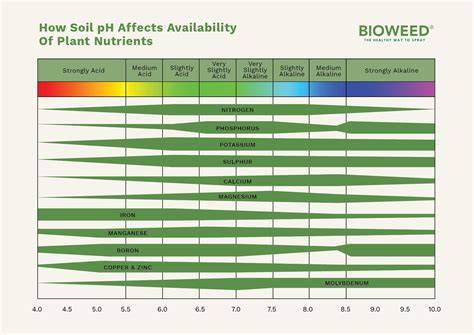 How Litter Affects Soil pH and Plant Health | Live to Plant - raincitystudios.com
