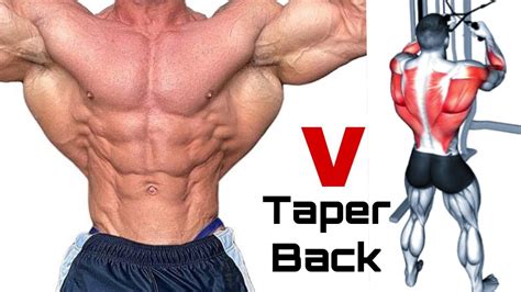 How Long Does It Take to Get a V Taper Back - mofilo.app - balustradellc