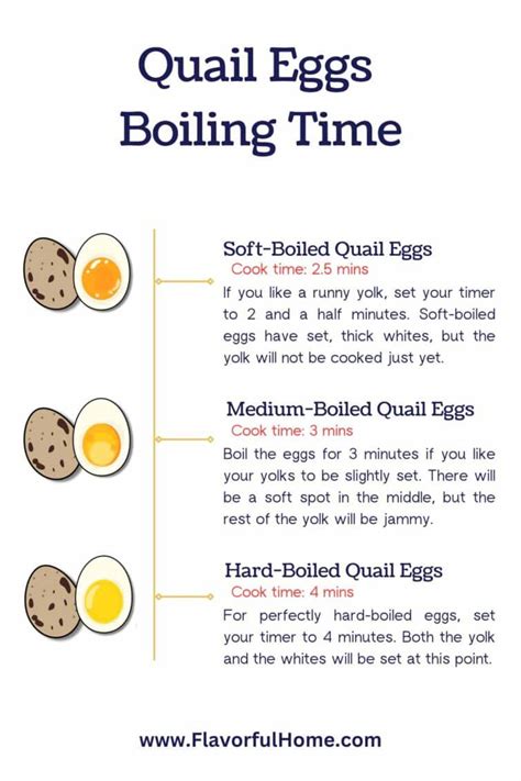How Many Minutes To Boil A Quail Egg | My Projects - balustradellc