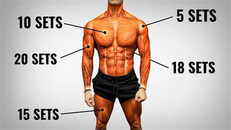 How Many Sets To Build Muscle: A Scientific Guide - balustradellc