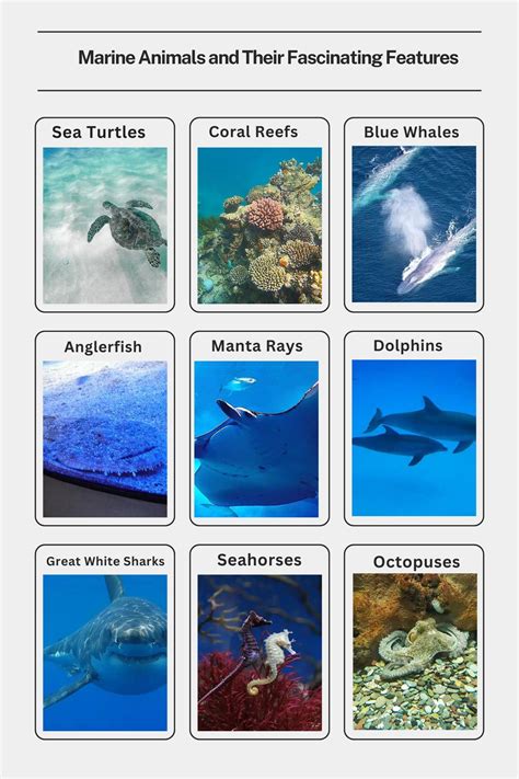 How Marine Animals Master the Art of Underwater Communication - Marine ... - raincitystudios.com