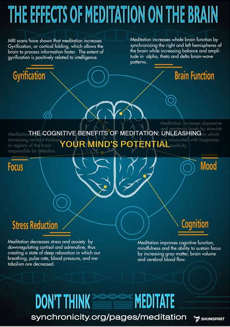 How Meditation Enhances Focus and Cognitive Function in Adults - balustradellc