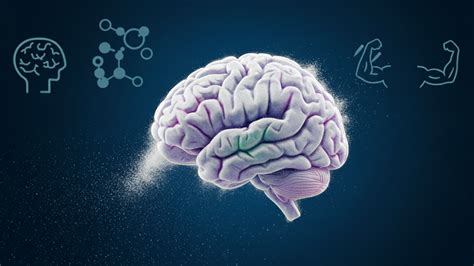 How Much Creatine for Brain Health: A Phased Approach - balustradellc