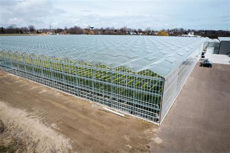 How Much Does a Commercial Greenhouse Cost to … - balustradellc