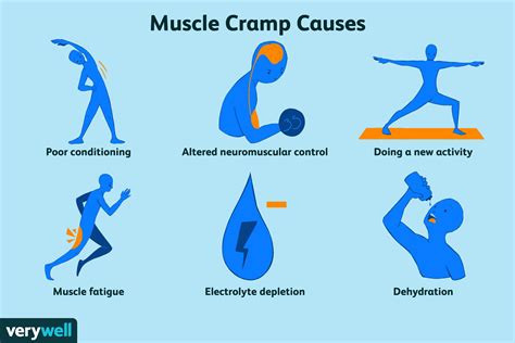 How Muscle Cramp Happens #cat #funny #viral #memes #cramps - balustradellc