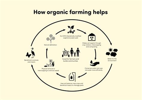 How Organic Farming Works - HowStuffWorks - balustradellc