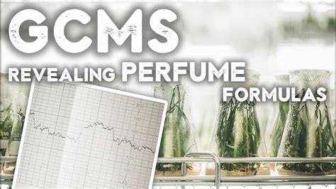 How perfumers reproduce perfumes with GCMS - wintechmobiles.com