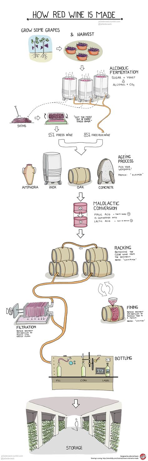 How Red Wine is Made Step by Step - Wine Folly - wintechmobiles.com