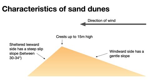 How Sand Dunes are Formed - Beaches & Dunes - wintechmobiles.com