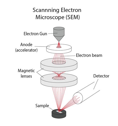 How Scanning Electron Microscopes Work - wintechmobiles.com